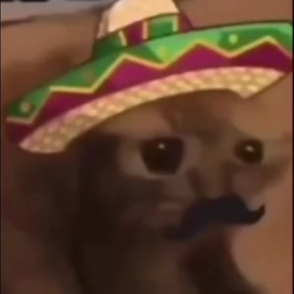 Meet your Posher, Guillermo - Picture 1 of 1